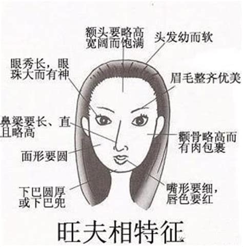 獅子鼻女人|獅子鼻女人面相